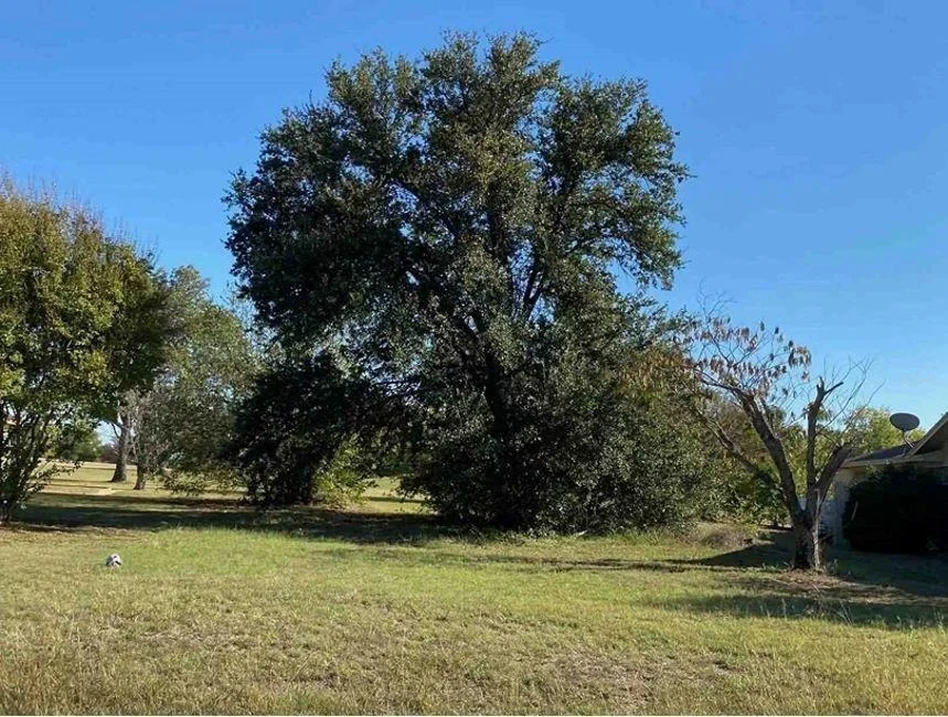 Photo of 136 Runaway Bay Drive