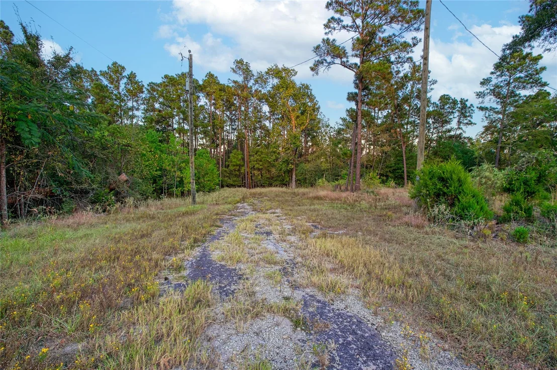 Photo of 184 Willow Drive