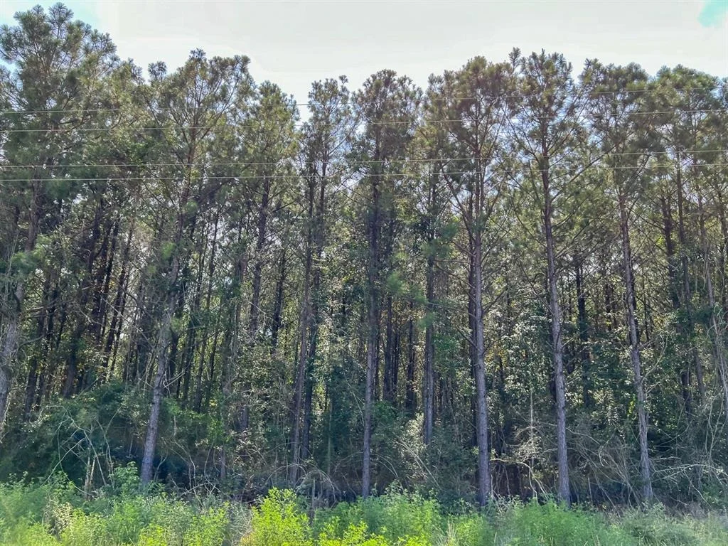 Photo of 01 Highway 96