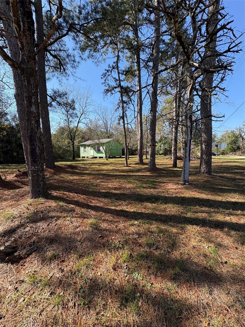 Photo of 0 Ben Milam Road