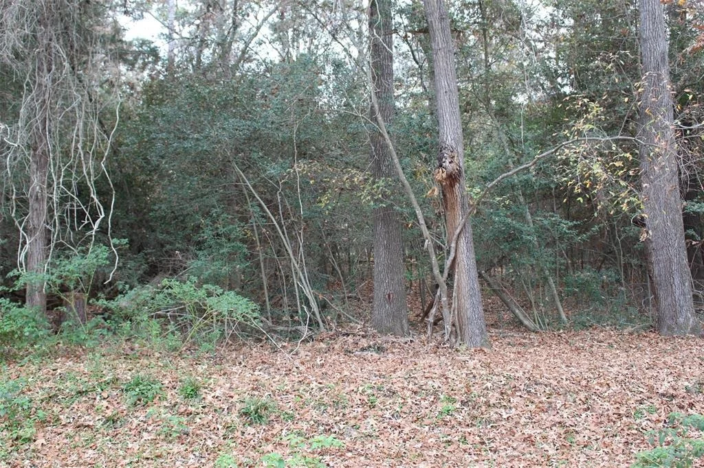 Photo of 225 Dailey Road