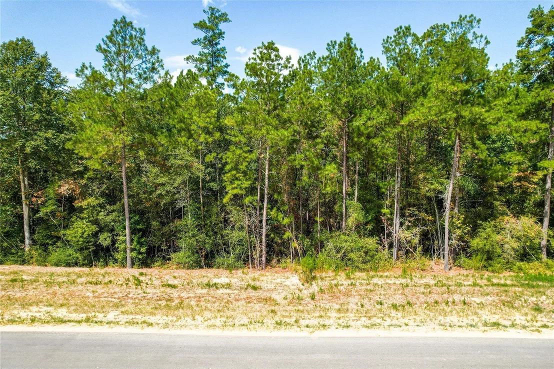 Photo of 15577 Republic Park Trail