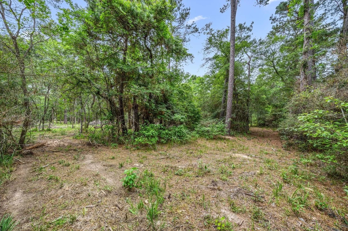 Photo of 26020 Pine Shadows Drive