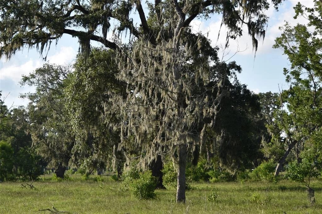 Photo of 5300 U-Pond Drive/County Road 611