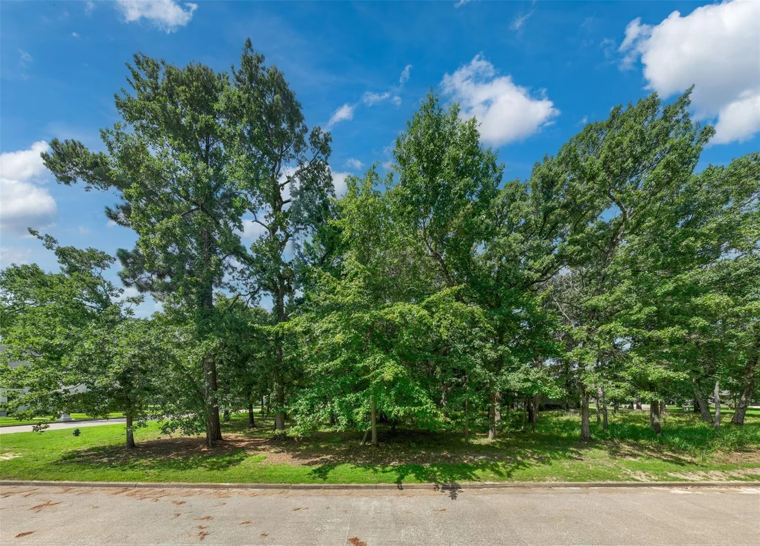 Photo of 160 Eagles Bluff Boulevard S