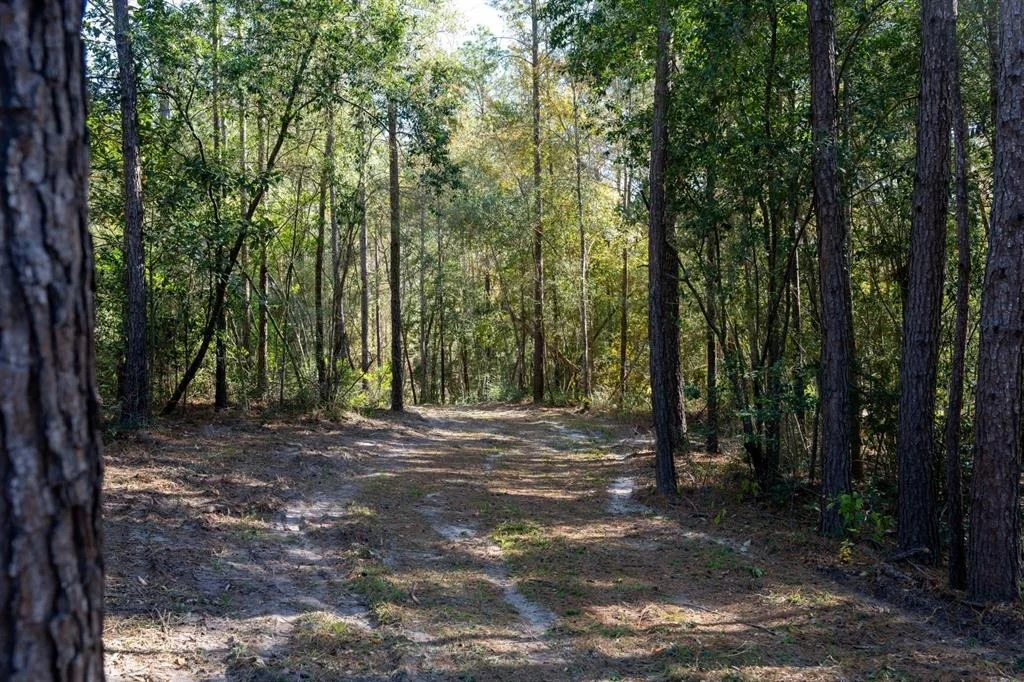 Photo of 445 County Road 3190