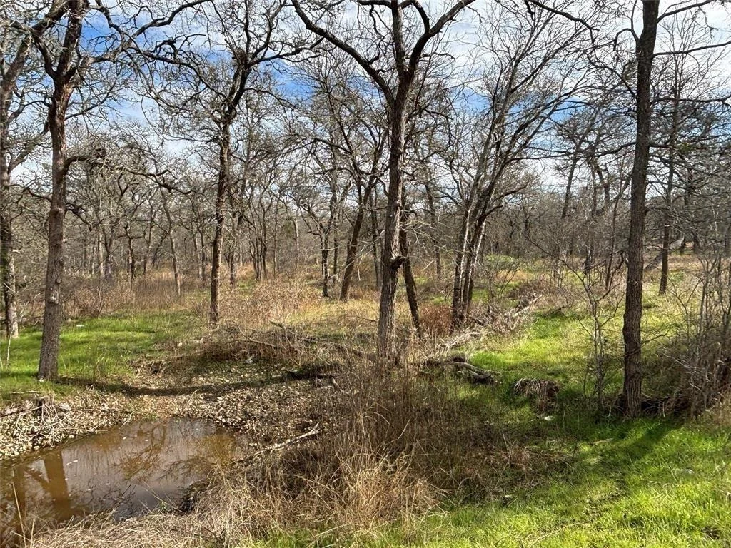 Photo of 245 Elm Forest Loop