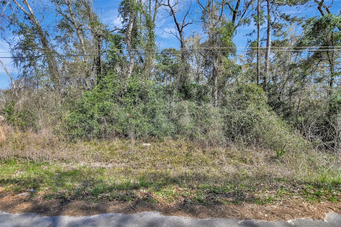 Photo of TBD Lot 112 White Birch Lane
