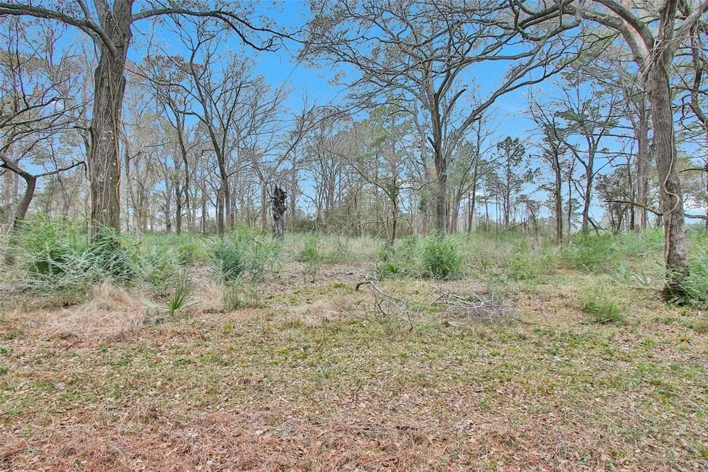 Photo of 5747 Spring Branch Road