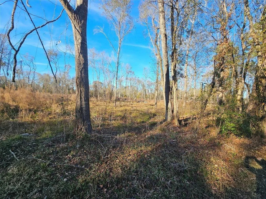 Photo of 84 Sherwood Drive