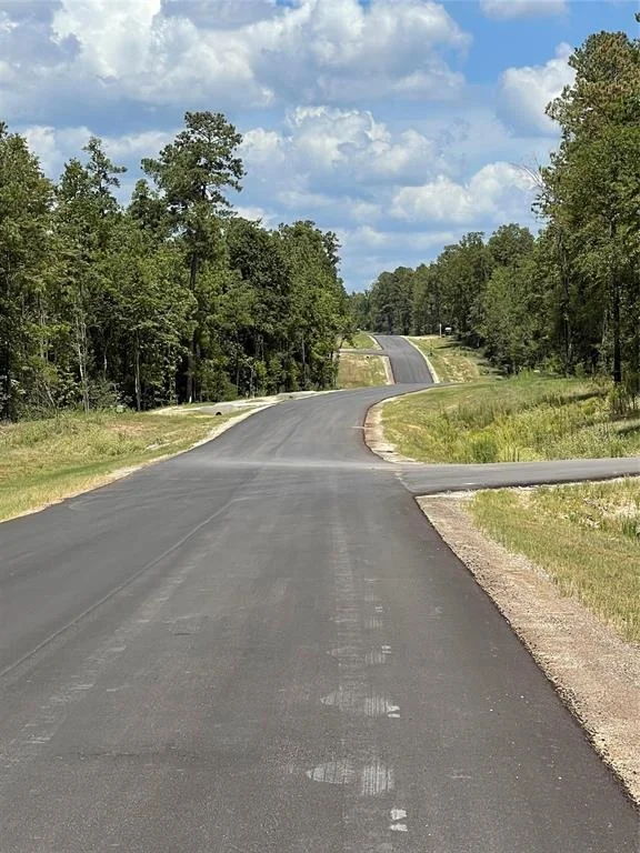 Photo of 16068 Forest Mill Road