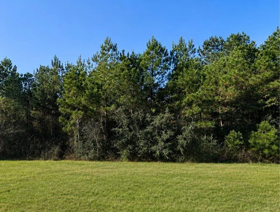Photo of 11700 Grand North Road
