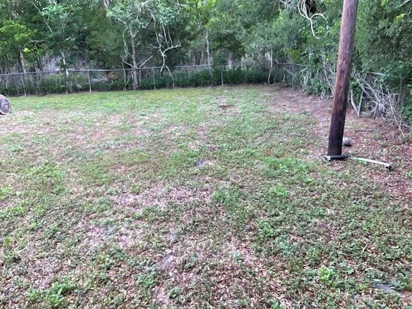 Photo of 343 County Road 272