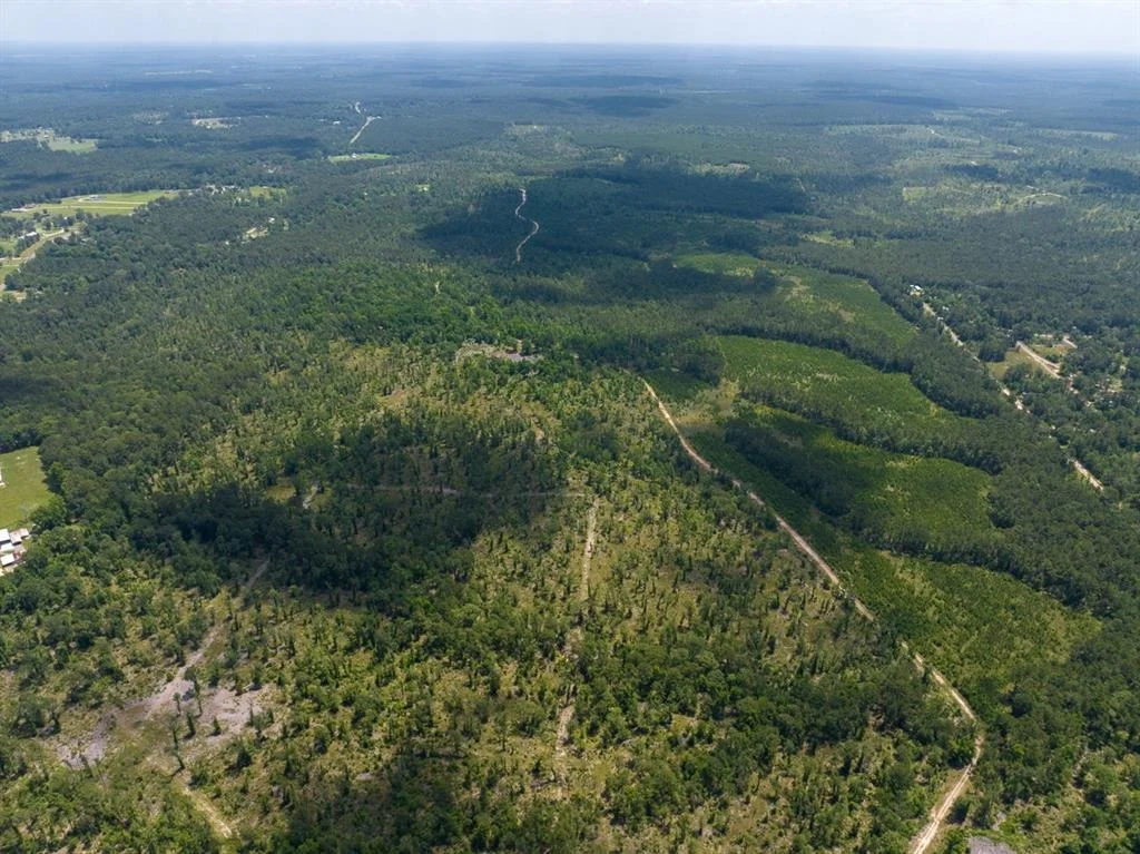 Photo of TBD Fm 355