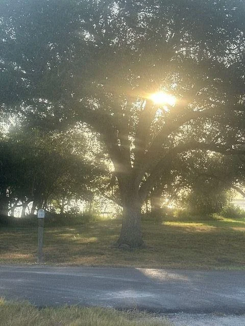 Photo of 101 Lake Wood Drive