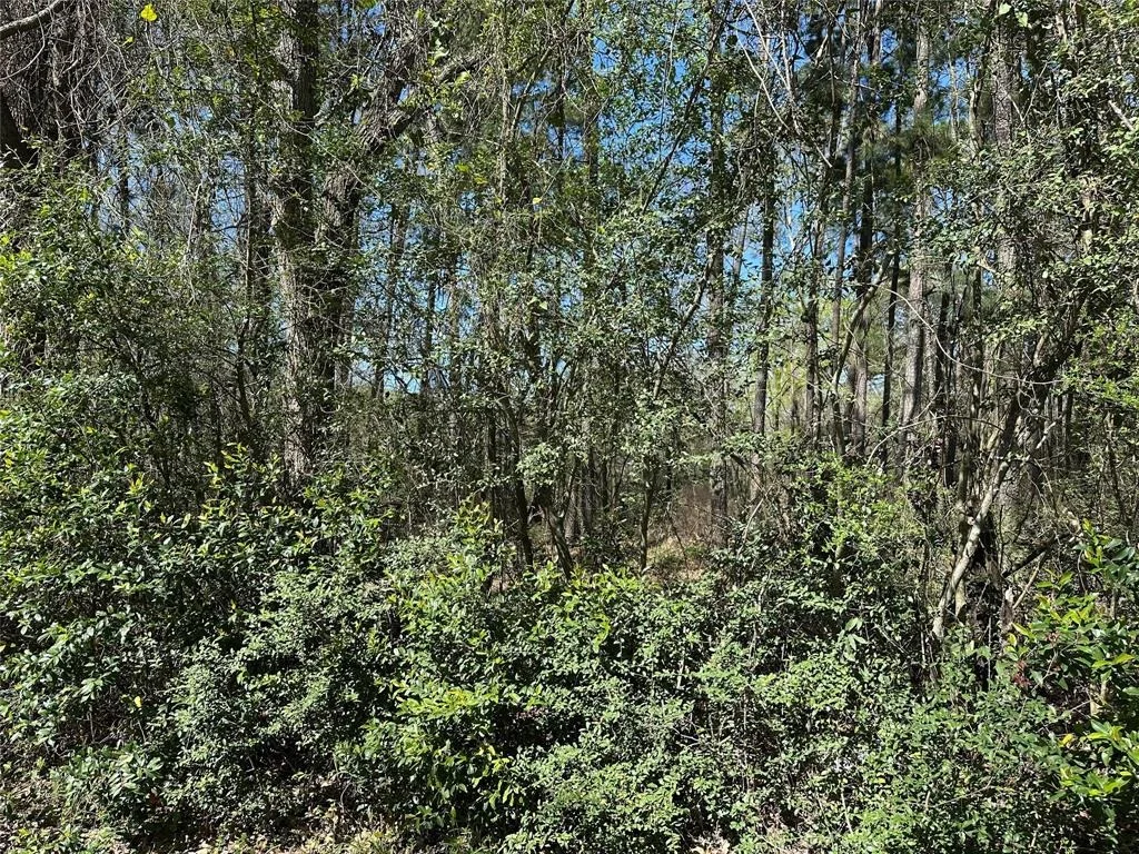 Photo of 518 Old Magnolia Road
