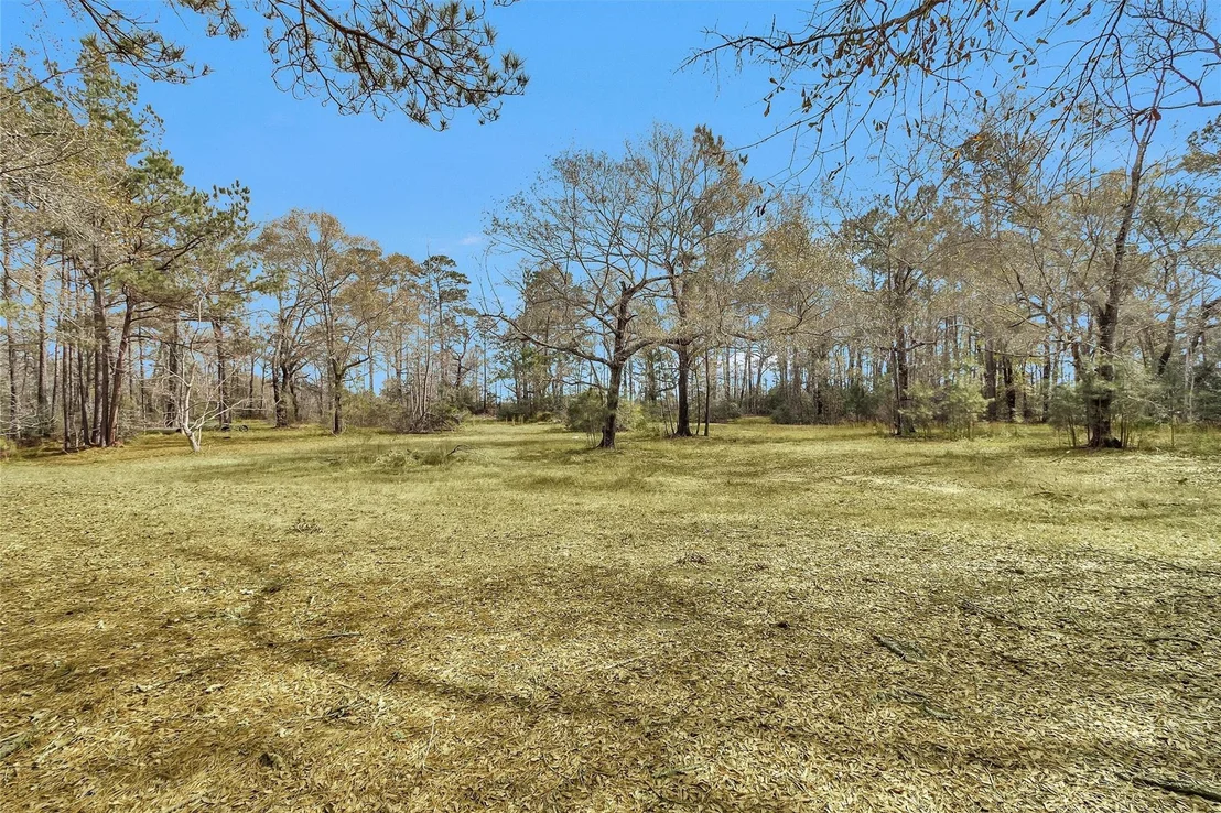 Photo of 10067 White Rock Road