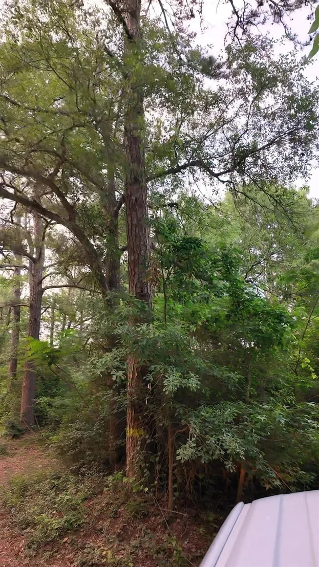 Photo of 0 County Line Road