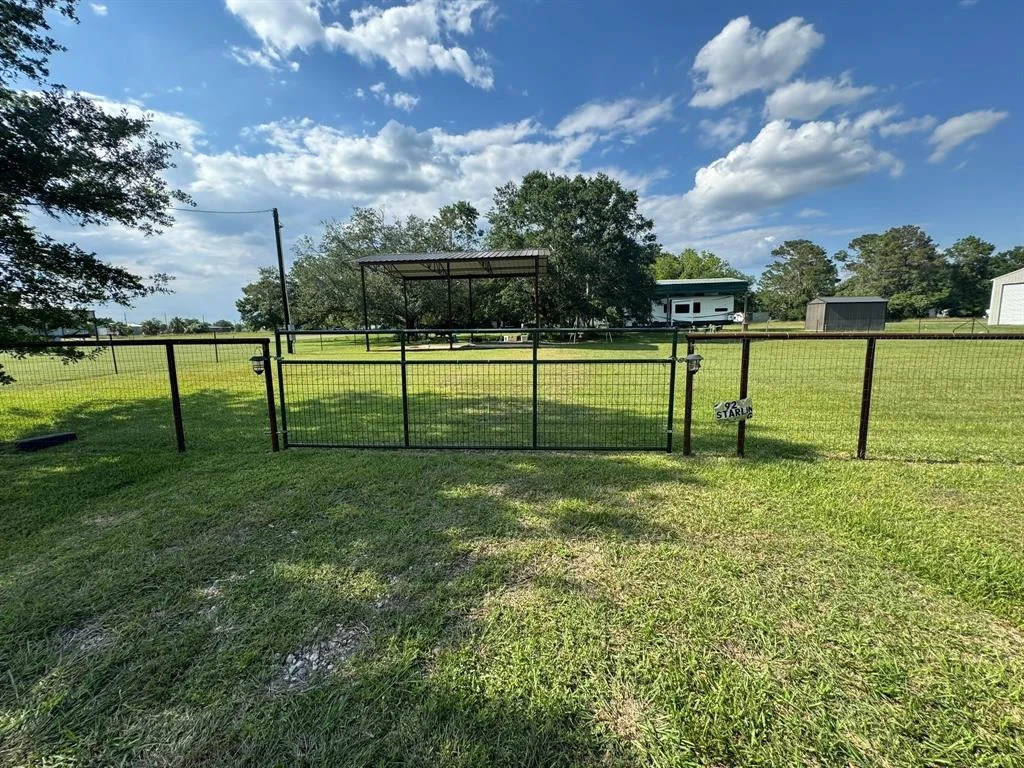Photo of 92 Starling