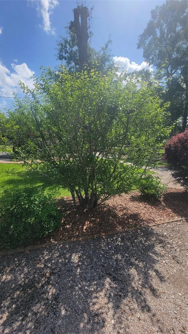 Photo of 17822 Shaw Circle