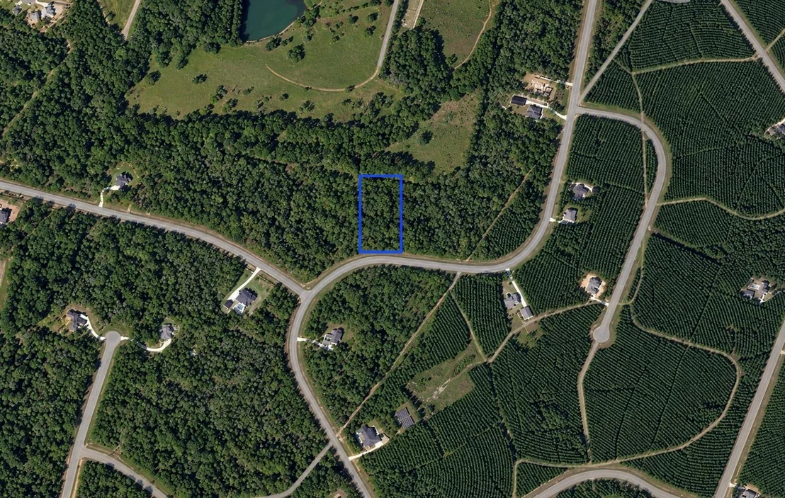Photo of 11756 Grand North Road
