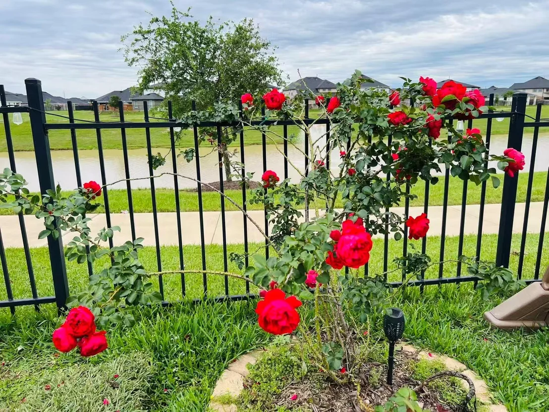 Photo of 29602 Stanley Canyon Lane