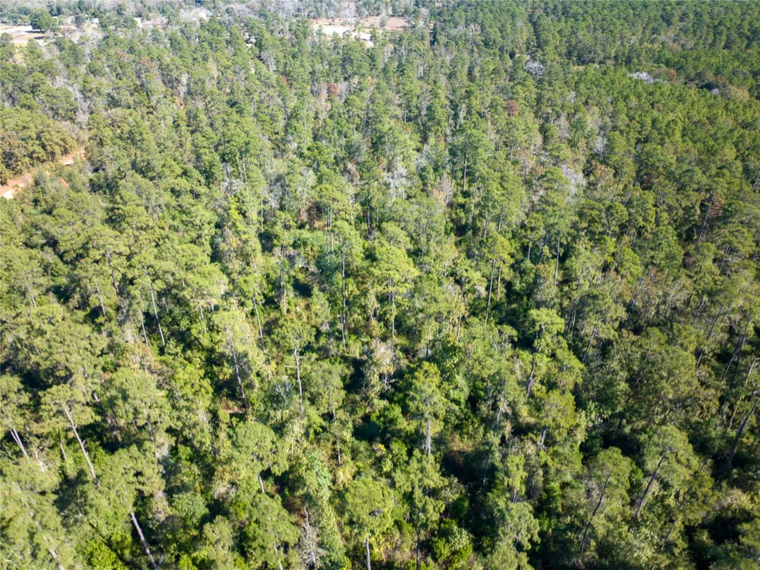 Photo of T-9 Eldridge Road