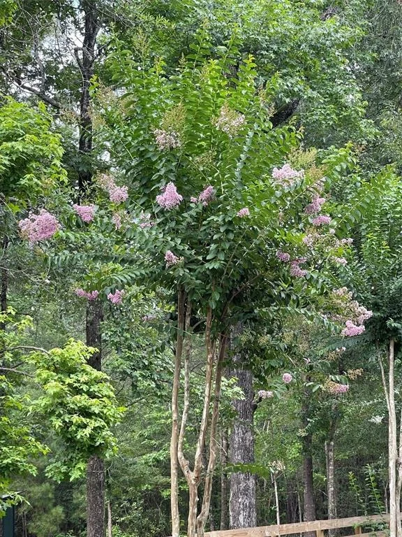 Photo of 2301 Hines Lake Road