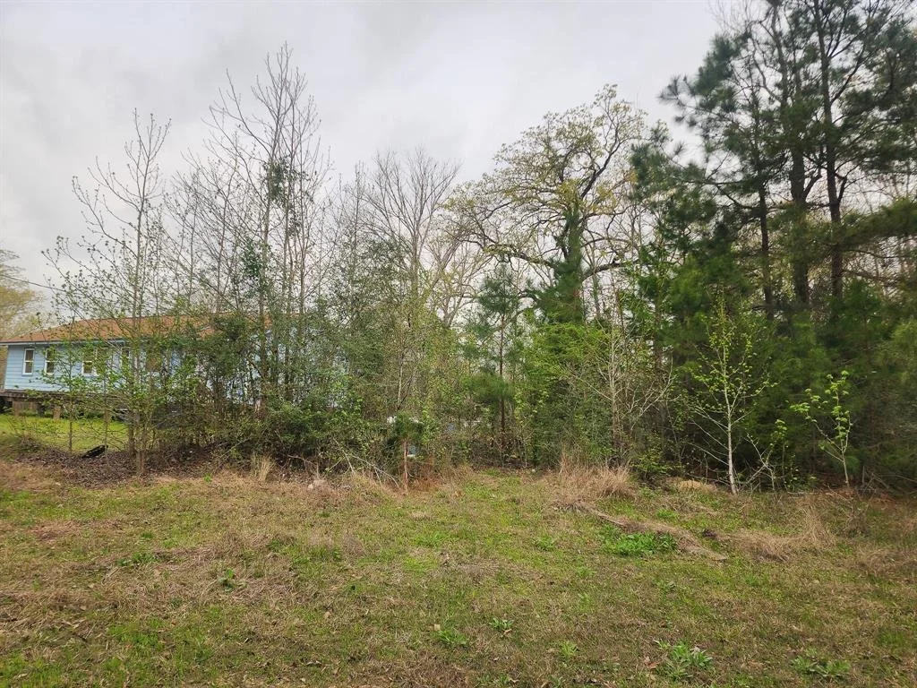 Photo of 434 Forest Hills Loop