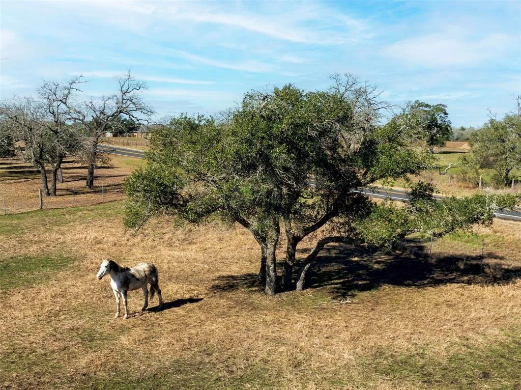 Photo of 153 Private Road 4001