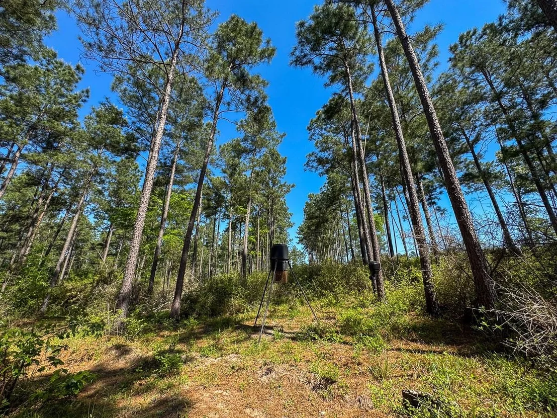 Photo of 0 Guerrant Road