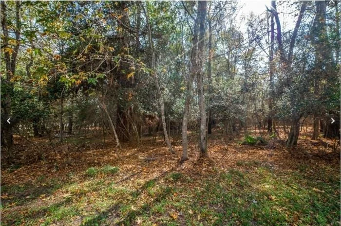 Photo of 3306 Vineyard Lane