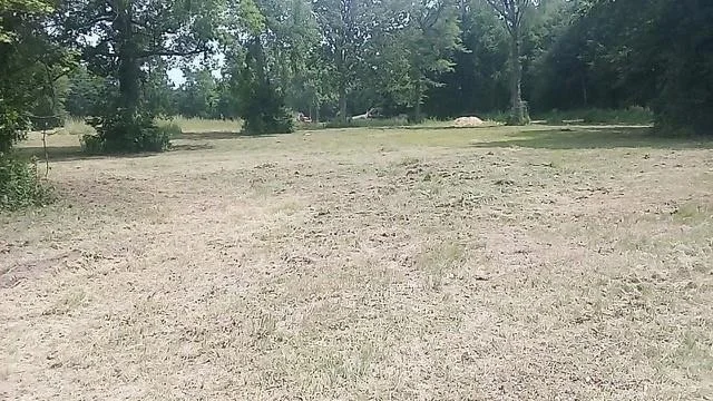 Photo of 545 County Road 388