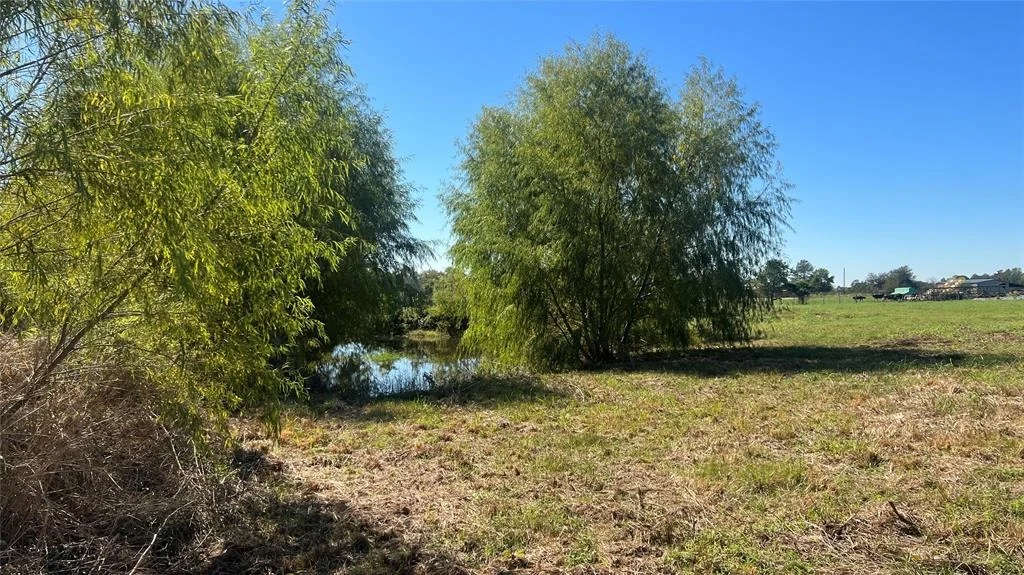 Photo of Lot 2 Cr 319