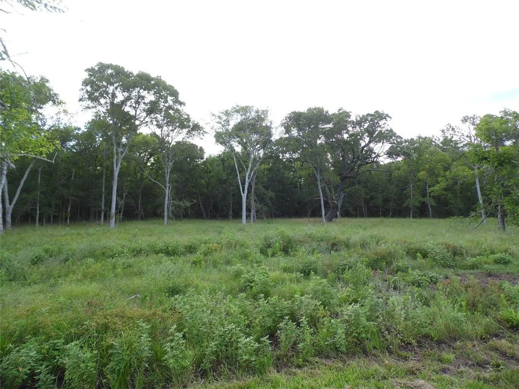 Photo of 154 Bowie Lot 26 Road