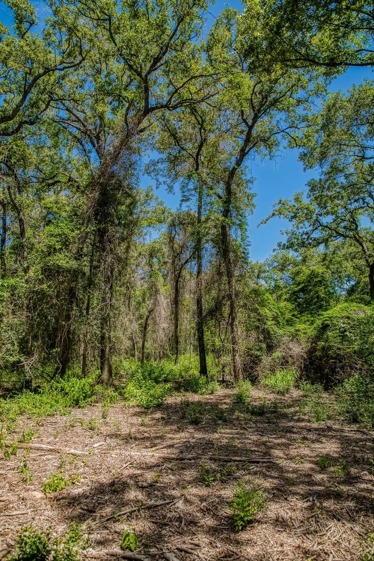 Photo of 1972 County Road 324
