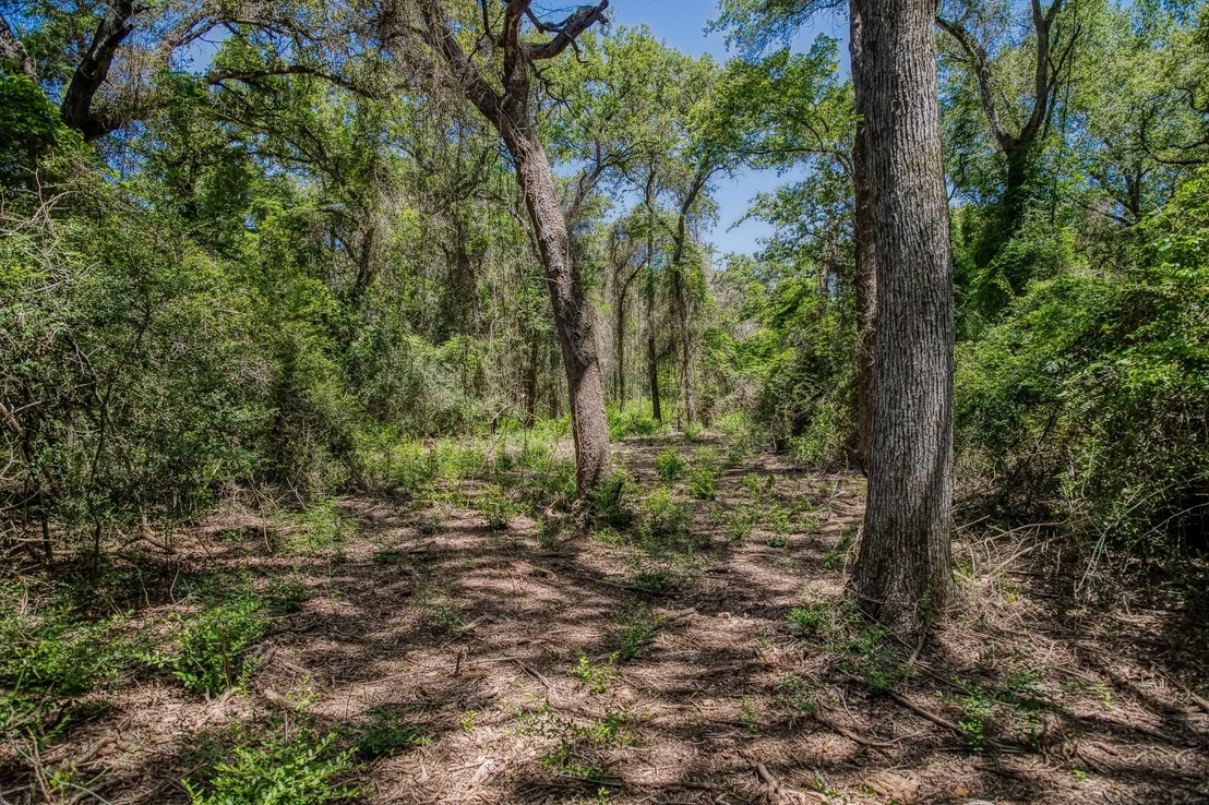 Photo of 1972 County Road 324