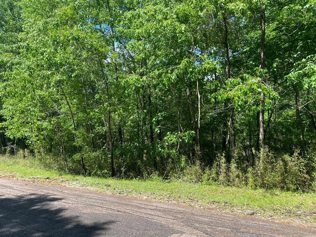 Photo of 22 S Pine Harbour Drive