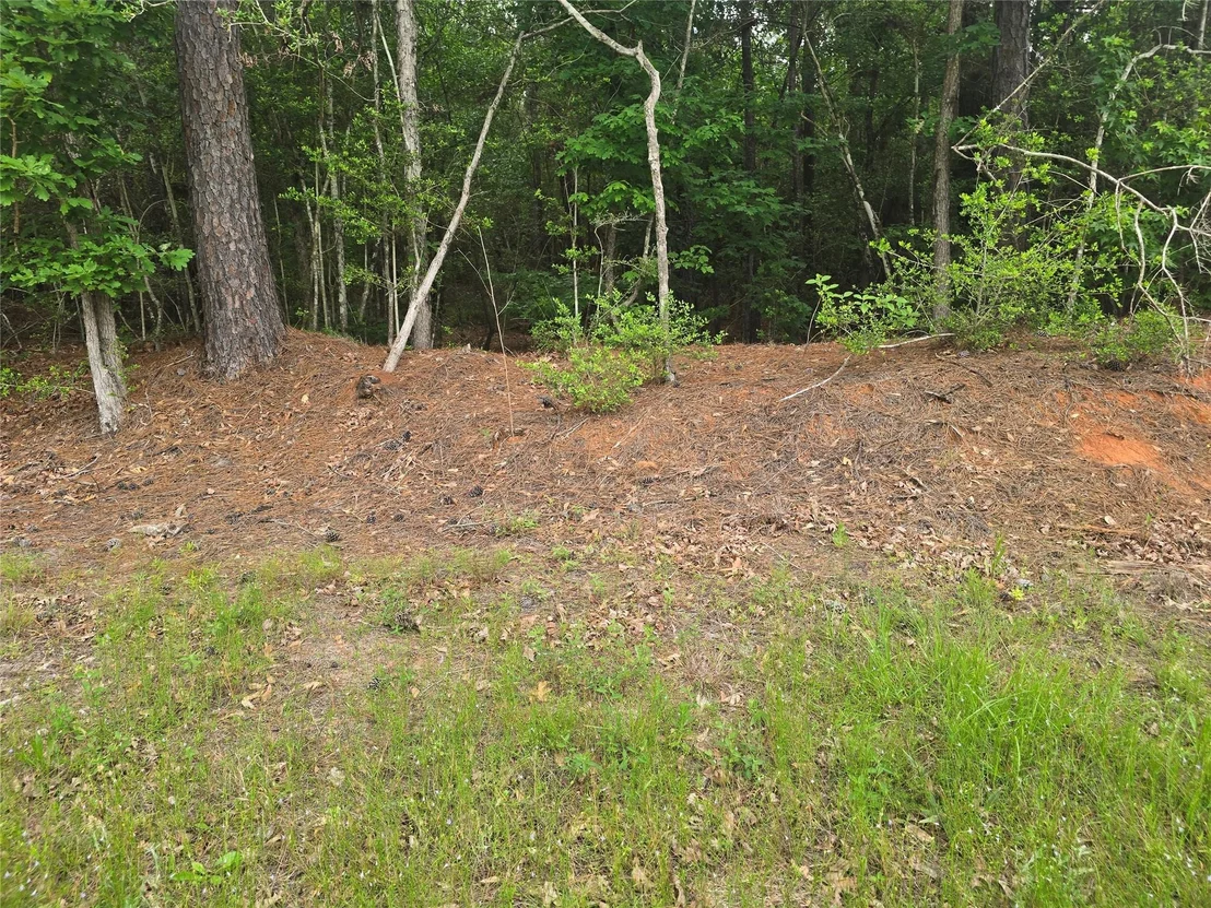 Photo of 15386 Red Hawk Road