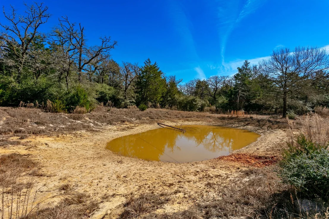 Photo of 10162 County Road 321