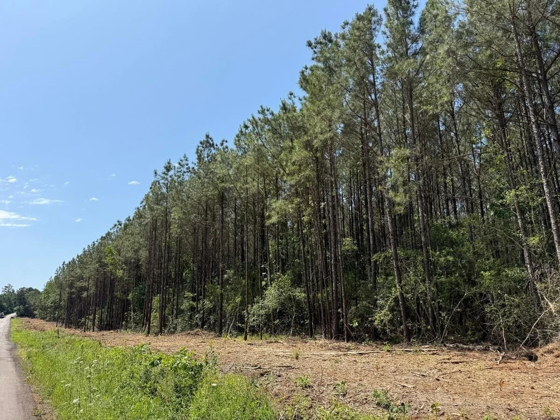 Photo of 4 Camp Ruby Road