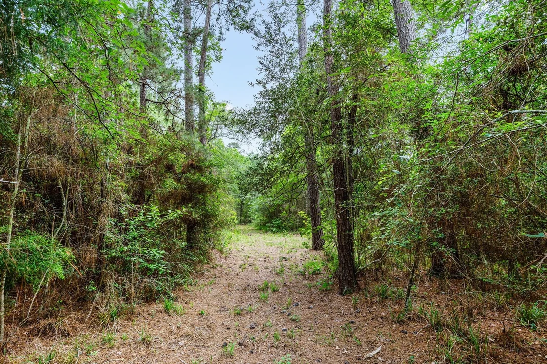 Photo of 26020 Pine Shadows Drive