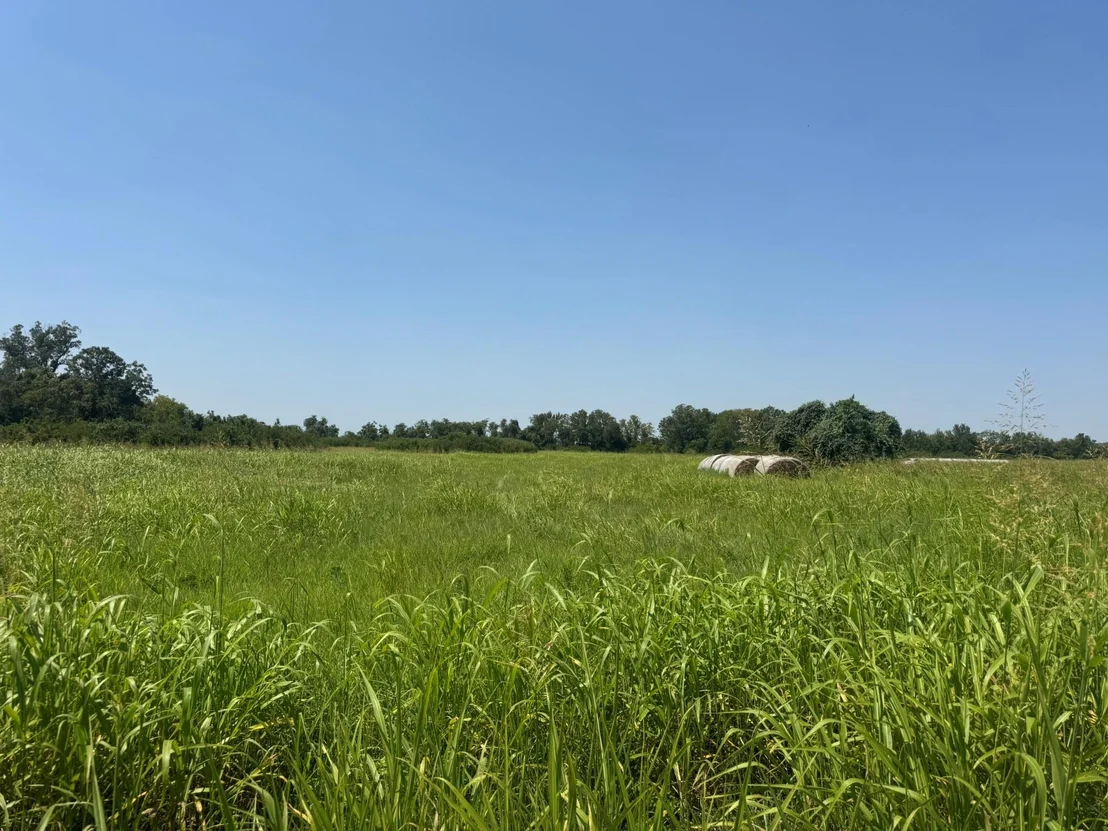 Photo of TBD County Road 230