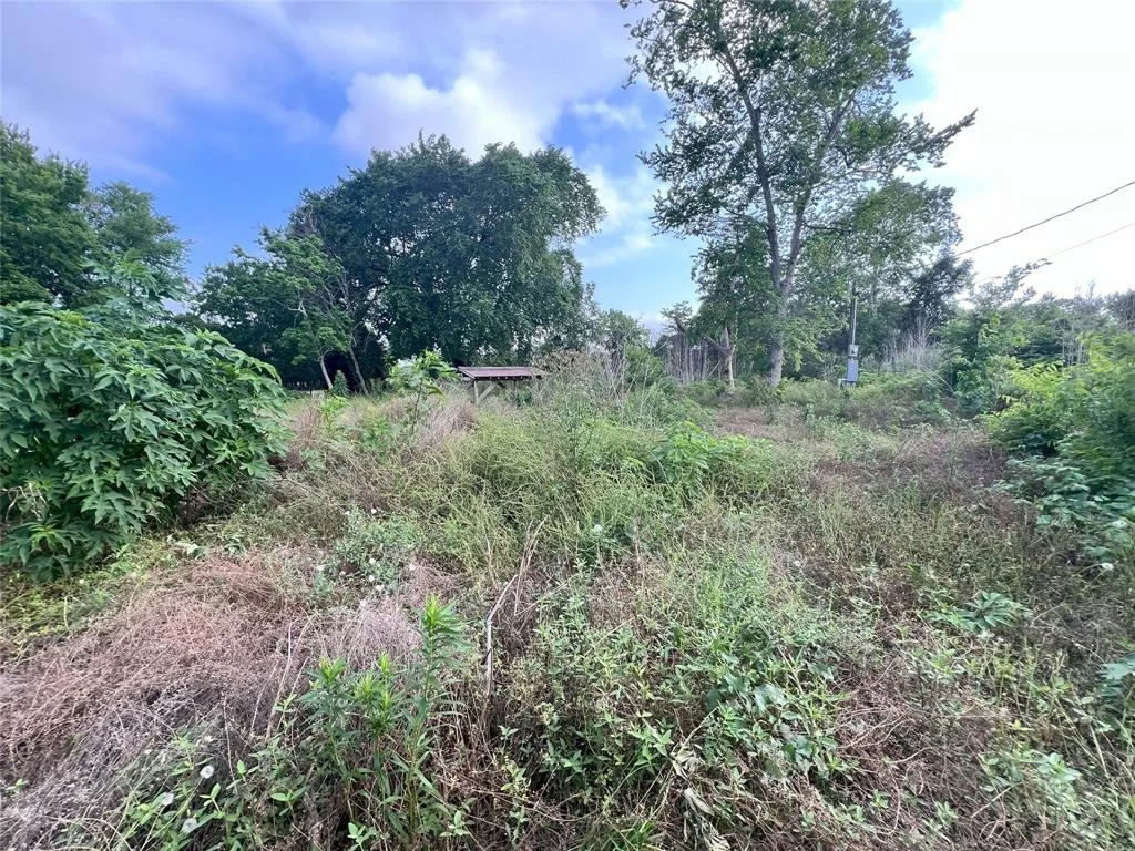 Photo of 4710 County Road 418