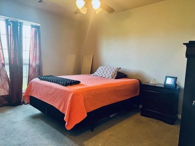 Photo of 3839 Pecan Creek Drive