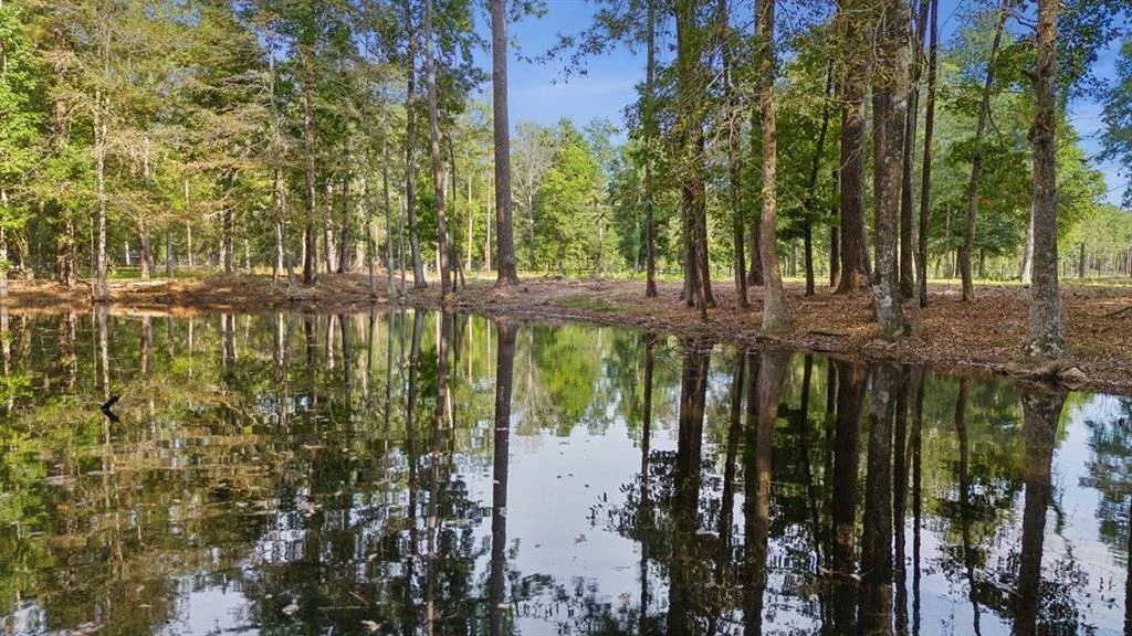 Photo of 4372 County Road 716