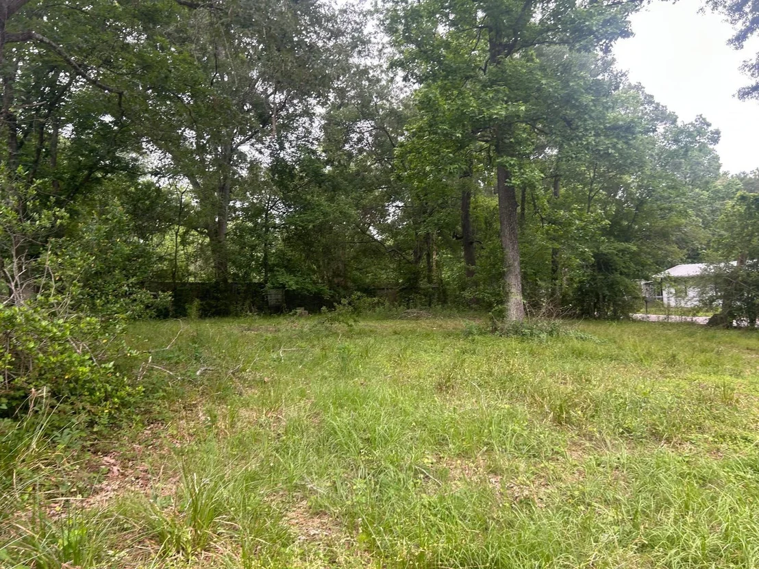 Photo of 164 Cypress Street