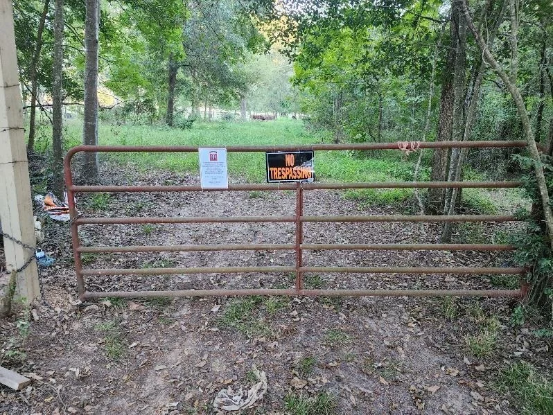 Photo of TBA Elmore Loop