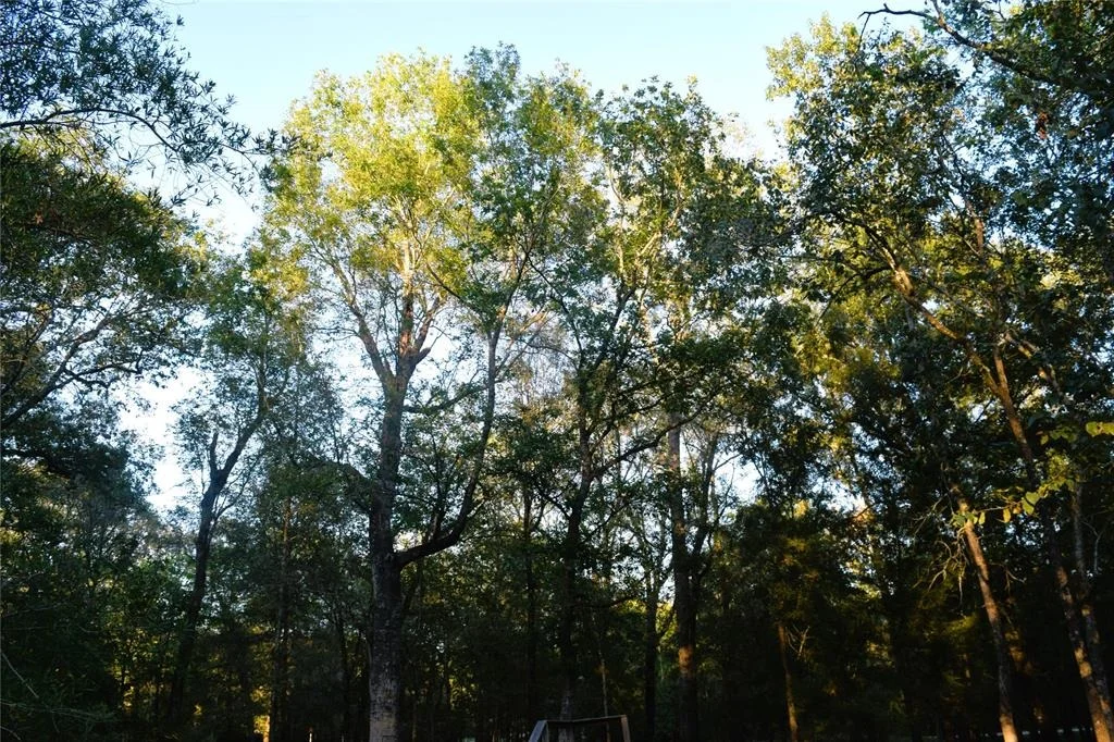 Photo of 271 Center Drive