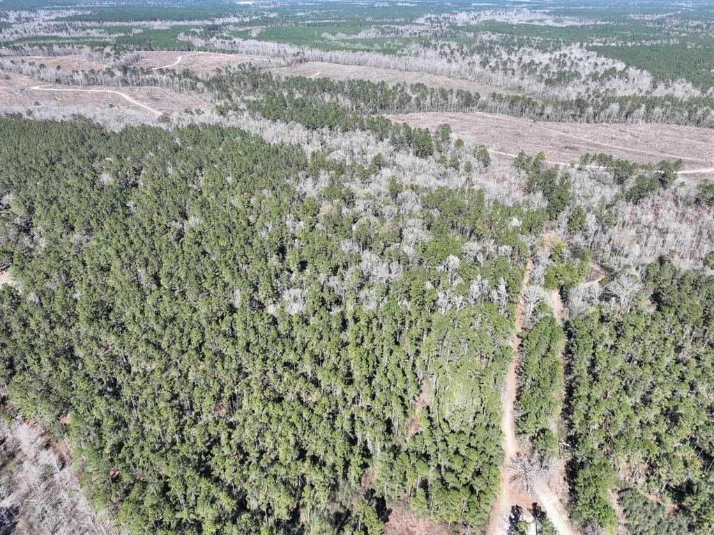 Photo of 422 County Road 4088